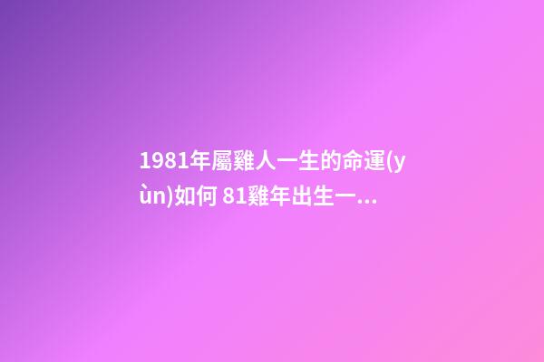 1981年屬雞人一生的命運(yùn)如何 81雞年出生一生命運(yùn)，1981年屬雞人的命運(yùn)-第1張-觀點(diǎn)-玄機(jī)派